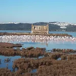 Green House Bogazici-dodo House * Bogazici