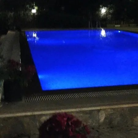 Green House Bogazici-dodo House *