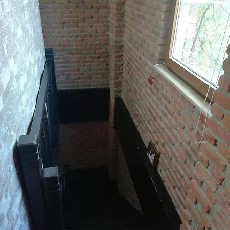 Green House Bogazici-dodo House Богазычи