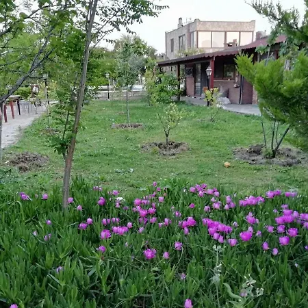 מלון Green House Bogazici-dodo House *