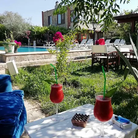 Отель Green House Bogazici-dodo House