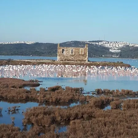 Green House Bogazici-dodo House * Богазычи