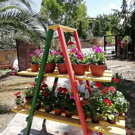 Green House Bogazici-dodo House Отель Богазычи