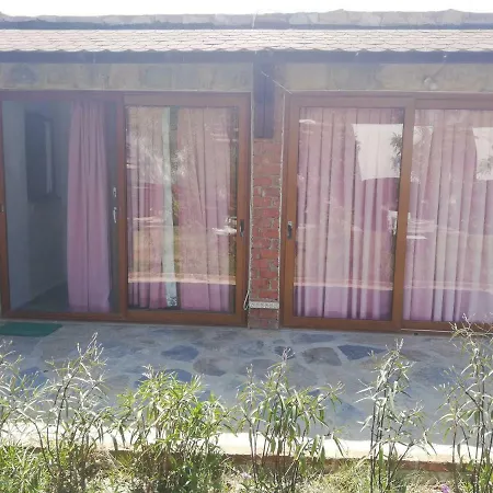 Green House Bogazici-dodo House Богазычи