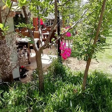 Green House Bogazici-dodo House * Богазычи