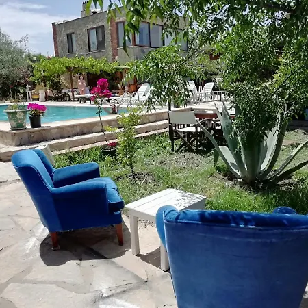 Green House Bogazici-dodo House Отель