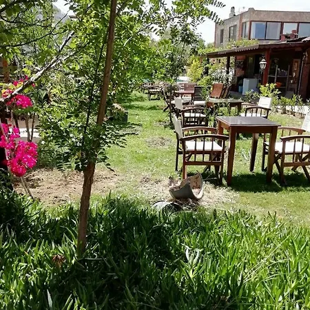 Green House Bogazici-dodo House מלון Bogazici