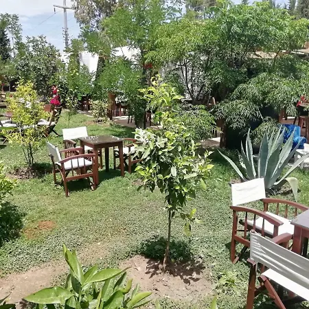 Green House Bogazici-dodo House Отель