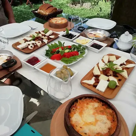 Green House Bogazici-dodo House * Богазычи