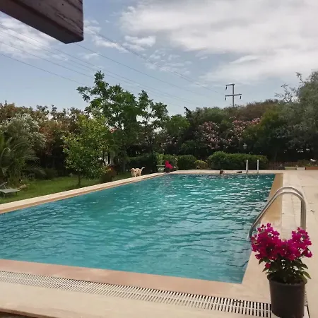 Green House Bogazici-dodo House Отель *