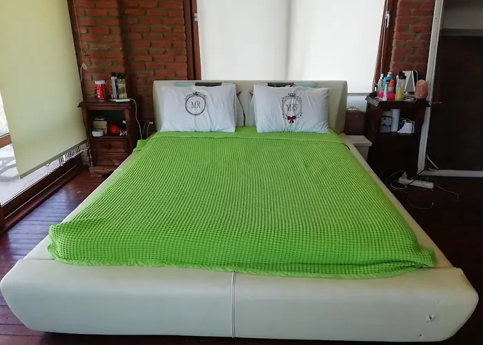 호텔 Green House Bogazici-dodo House *