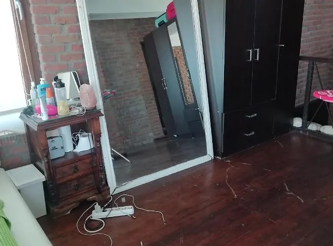 호텔 Green House Bogazici-dodo House