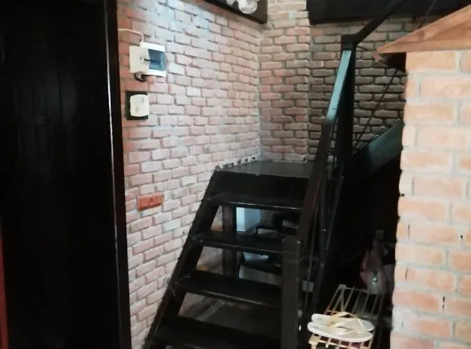 Green House Bogazici-dodo House 호텔 *