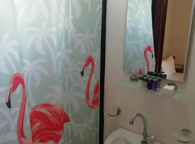 호텔 Green House Bogazici-dodo House