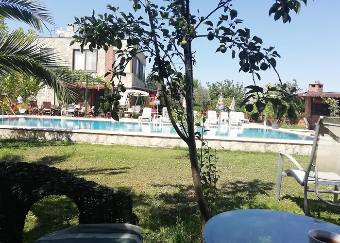 Green House Bogazici-dodo House