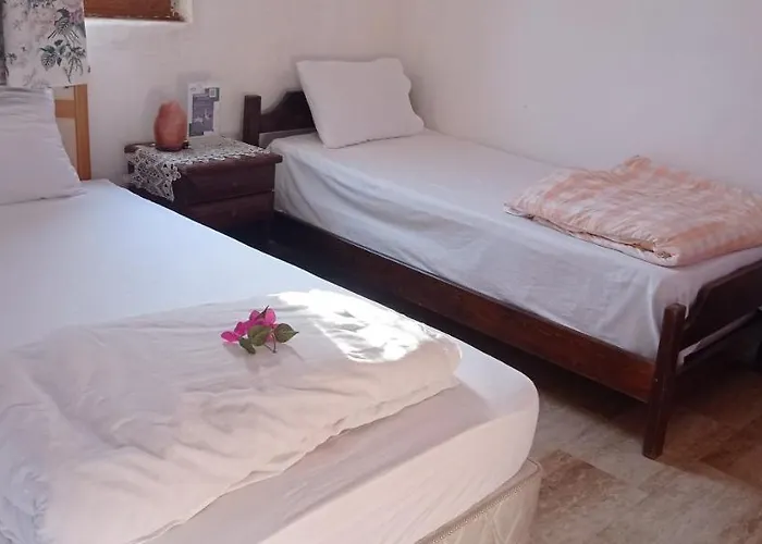 Green House Bogazici-dodo House * Bogazici