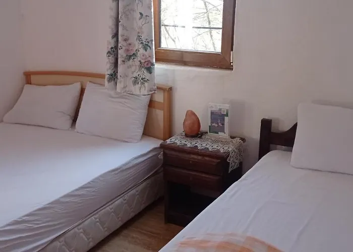 호텔 Green House Bogazici-dodo House Bogazici