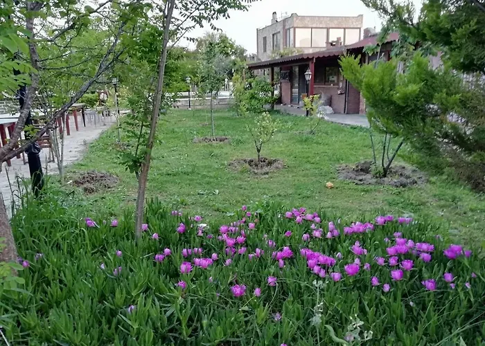 호텔 Green House Bogazici-dodo House *