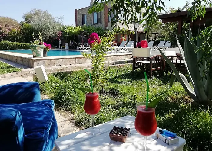 호텔 Green House Bogazici-dodo House