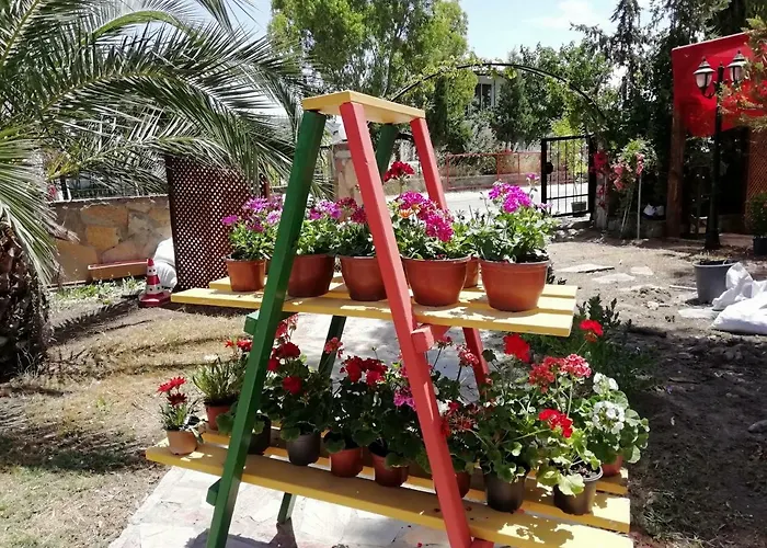 Green House Bogazici-dodo House 호텔 Bogazici