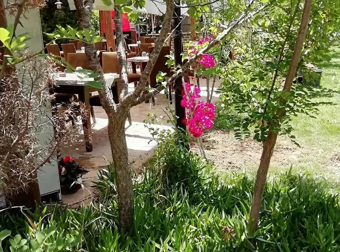 Green House Bogazici-dodo House * Bogazici