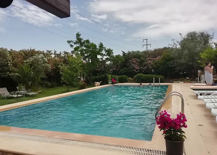 Green House Bogazici-dodo House 호텔 *