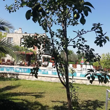 Green House Bogazici-dodo House ホテル *