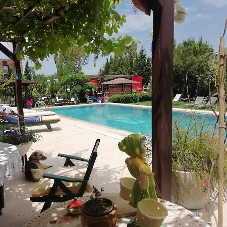 ホテル Green House Bogazici-dodo House Bogazici