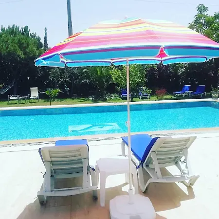 Green House Bogazici-dodo House