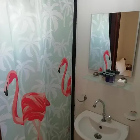 ホテル Green House Bogazici-dodo House