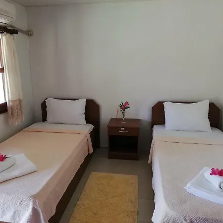 Green House Bogazici-dodo House Bogazici