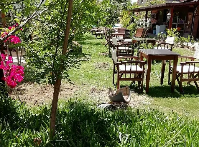 Green House Bogazici-dodo House Hotel Bogazici