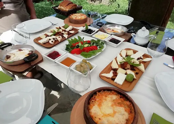 Green House Bogazici-dodo House * Bogazici